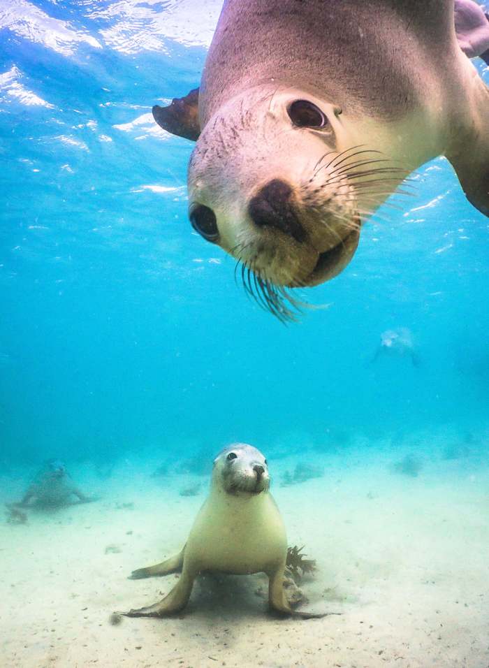 154934 - GALLERY_0.jpg